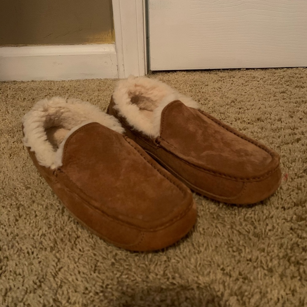 Ugg Ascot Slipper